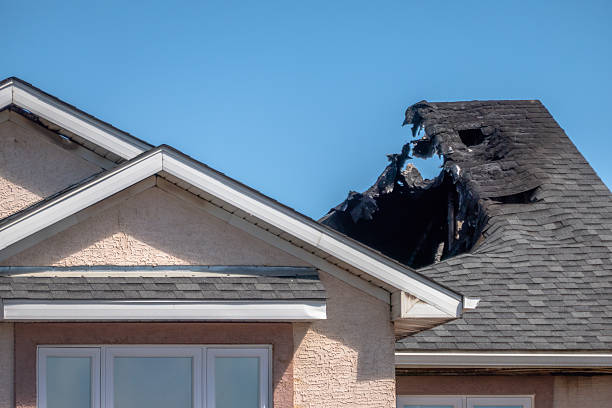 Top rated local Emergency Fire Cleanup specialists in Paeonian Springs, VA